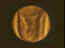 venus2.jpg (3464 bytes)